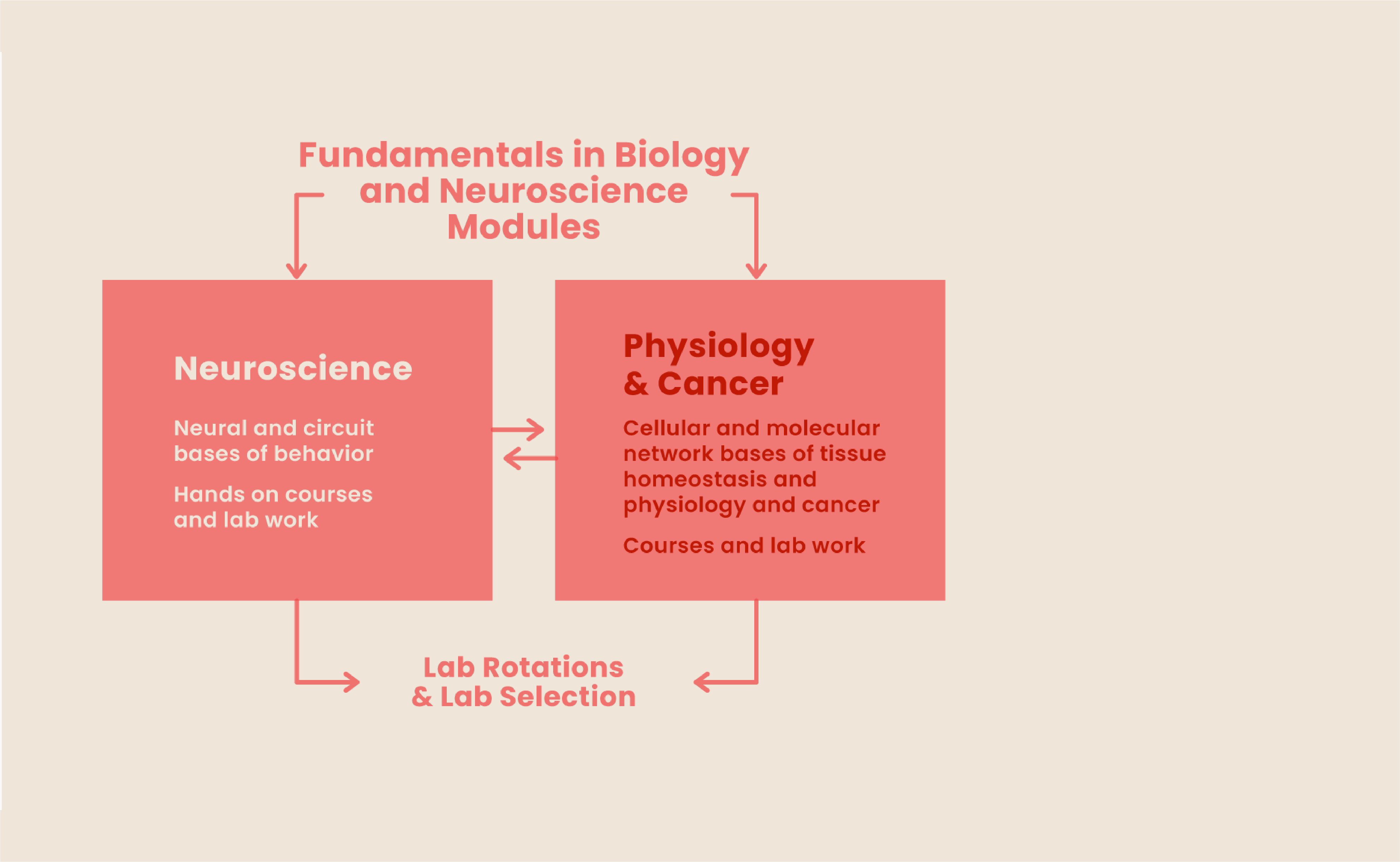  Program Summary Flow Chart